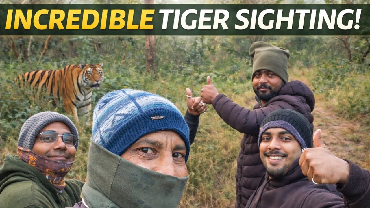 Incredible Sighting Vlog/ Sanjay Tiger Reserve#sanjaydubritigerreserve #tigerreserveforest #animals 
