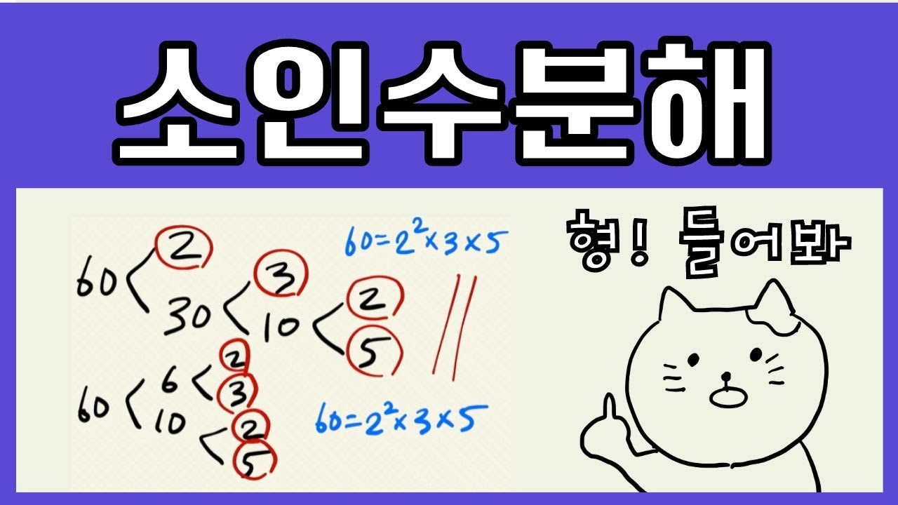 형!!! 다 놀았으면 소인수분해 하러 들어와. 이거 보고 학원 숙제 해야지?