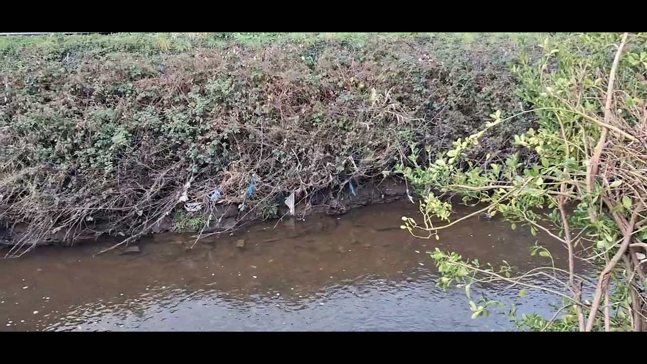River of shame Llanelli south Wales 