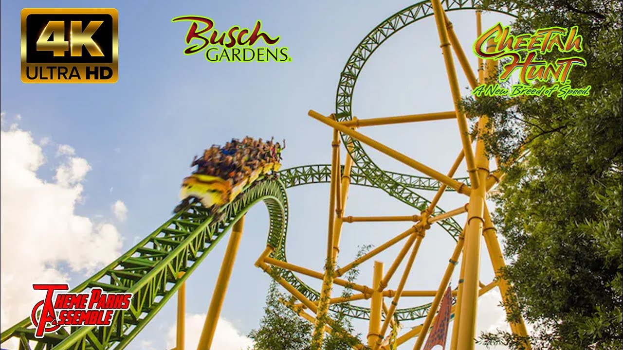 Cheetah Hunt Ride Upscaled in 4K From Stream - Busch Gardens Tampa, FL - July 2024
