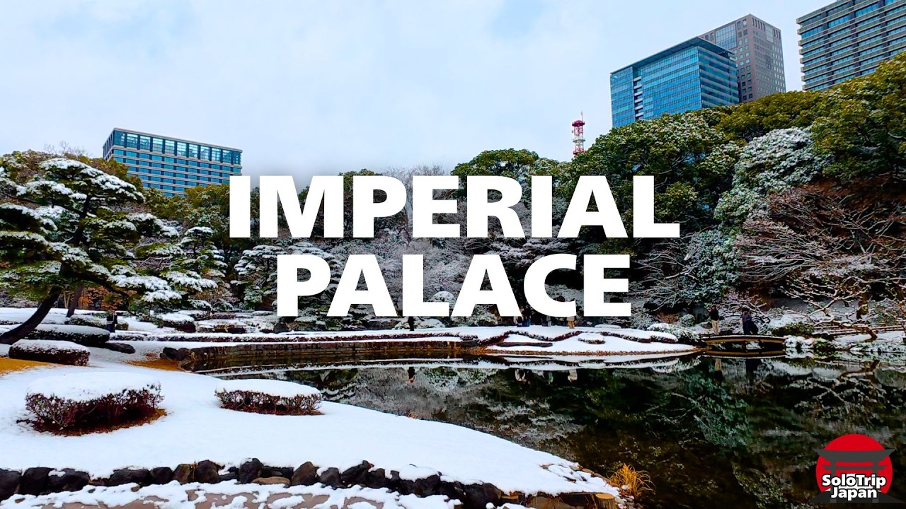 Imperial Palace in Snow【Walking in Tokyo🗼】