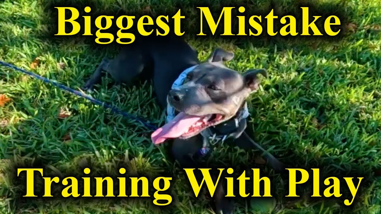Biggest Mistake Training With Play And The Solution
