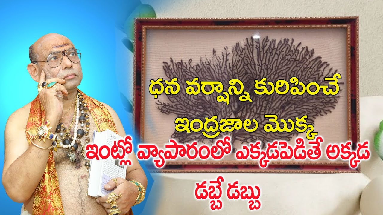 ఇంద్రజాల్ మహేంద్రజాల్ ధనాన్ని ఆకర్షిస్తుంది  Indrajal Mahendrajal  Money Attaction Parishkara Margam