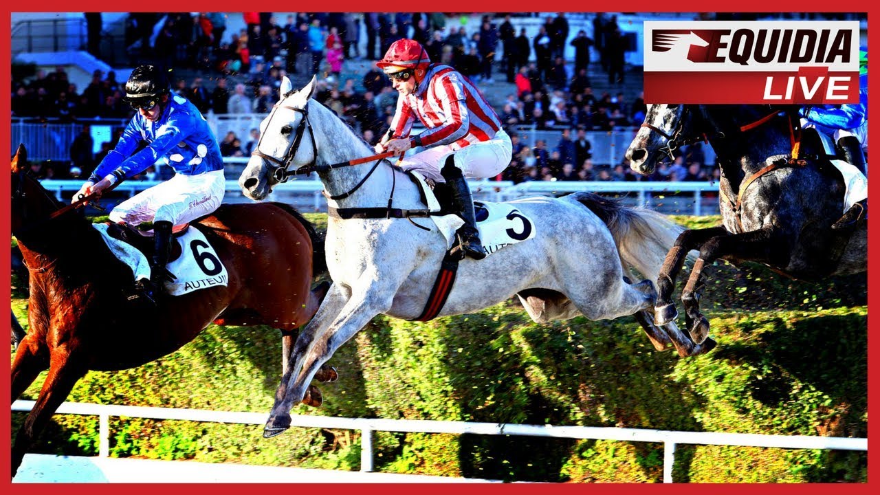 Bipolaire remporte le Prix La Haye Jousselin 2017 ! | Steeple-Chase