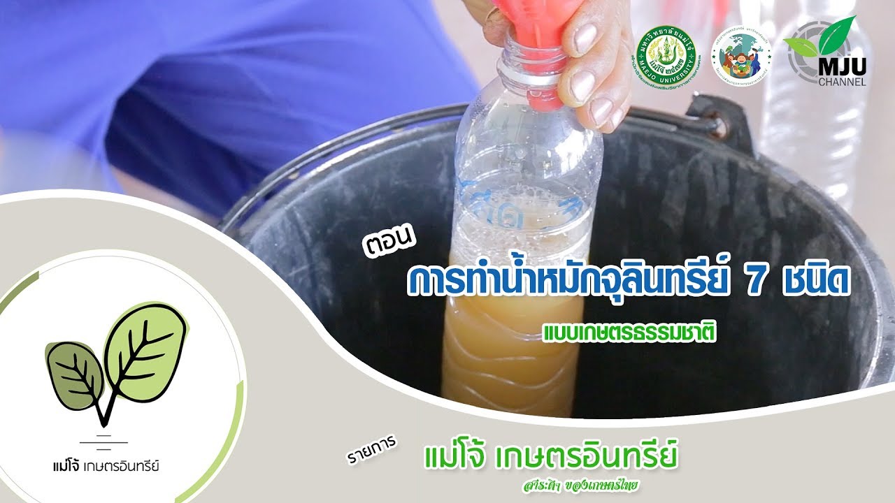 การผลิตน้ำหมักจุลินทรีย์ 3 ประเภท 7 ชนิด | แบบเกษตรธรรมชาติ ตามแนวทางเศรษฐกิจพอเพียง