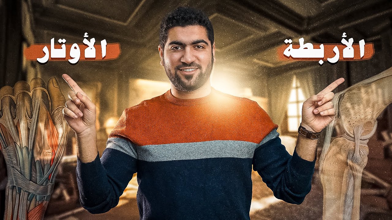 مقارنة سريعة بين الأربطة والأوتار ✅