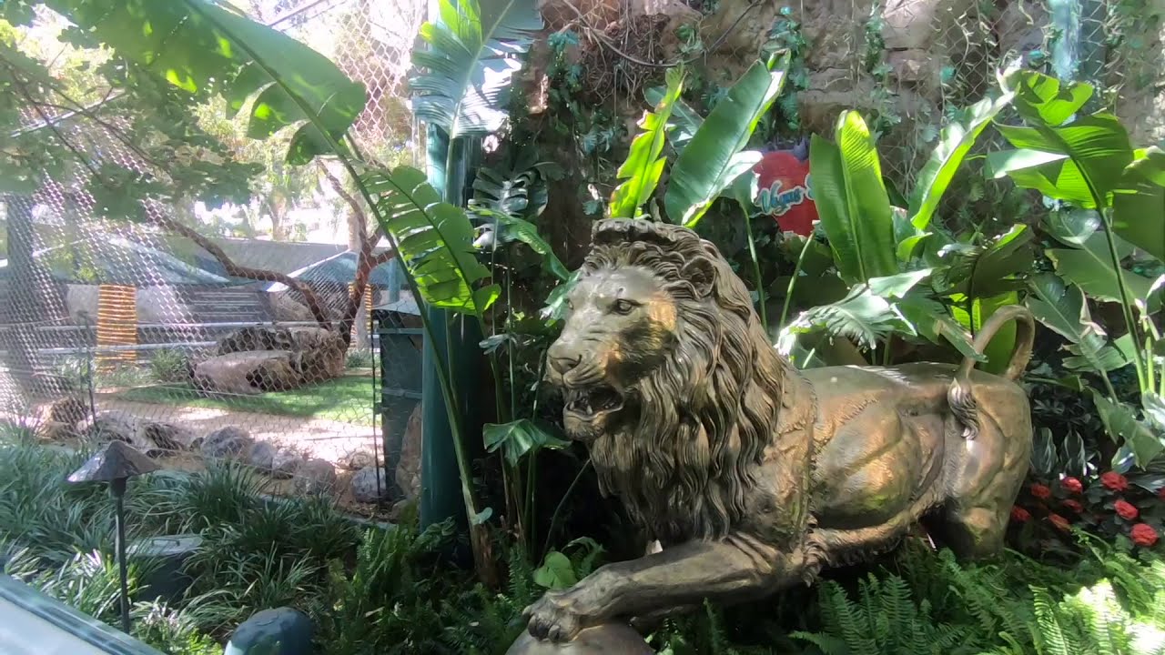 Mirage Las Vegas - Secret Garden & Dolphin Habitat