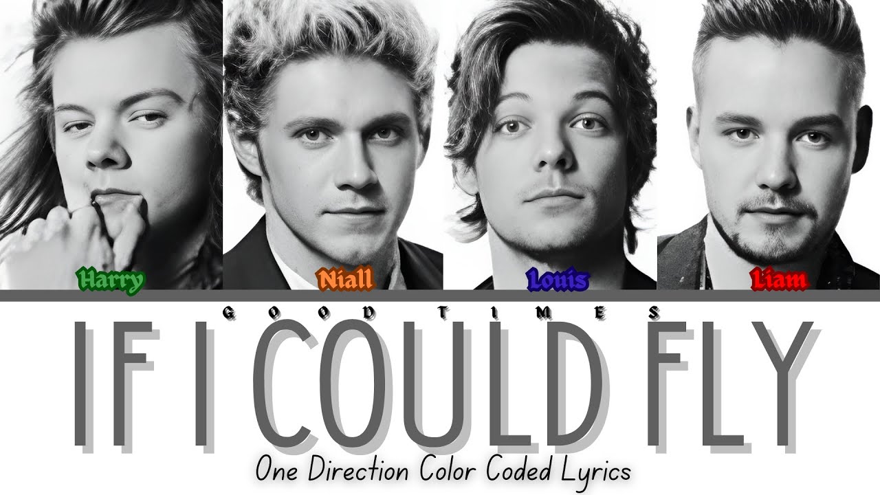 One Direction- If I Could Fly (Color Coded Lyrics)