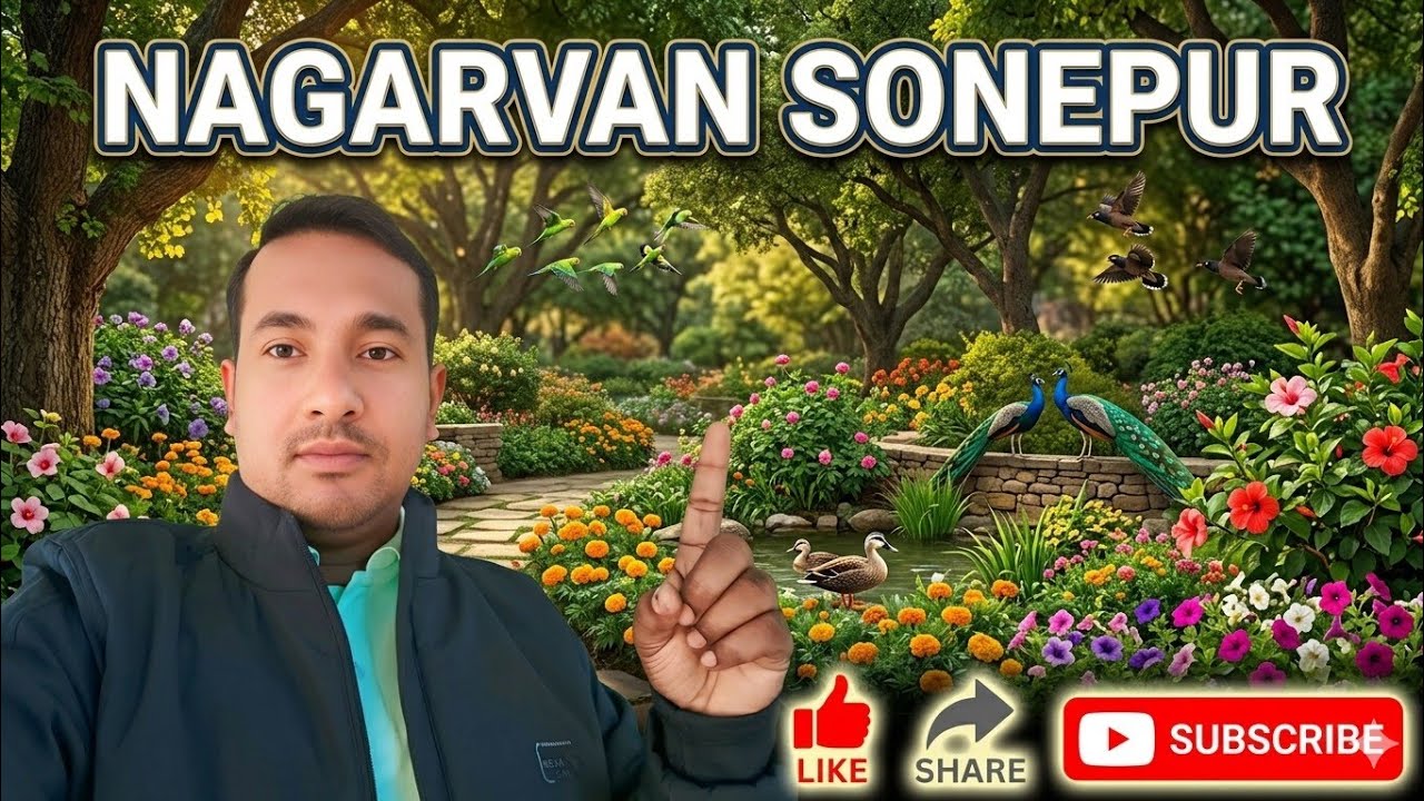 🐘Nagarvan Sonepur | ନଗରବଣ ସୋନପୁର- 2026🐒🦚(Arta Creation)