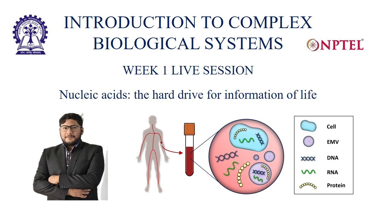 Nucleic acids: the hard drive for information of life