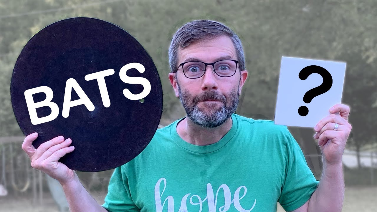 What Makes A Bat Worth $40?