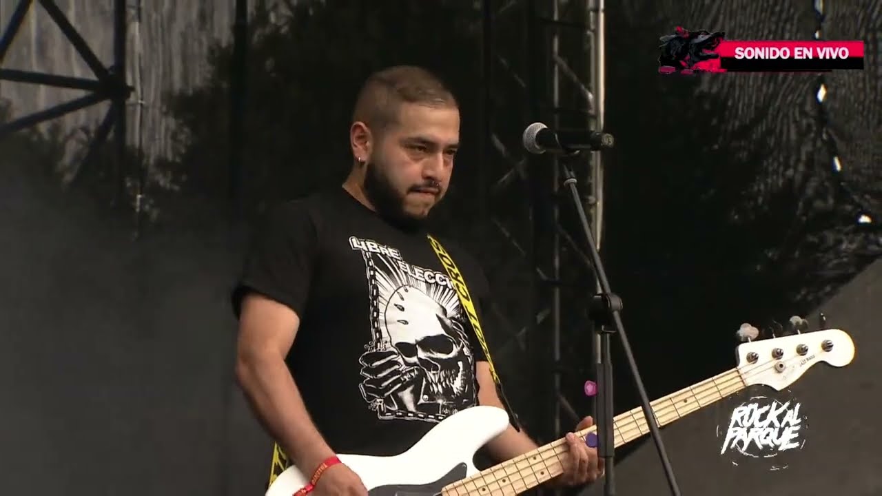 Libre elecci&oacute;n - Guerra in&uacute;til