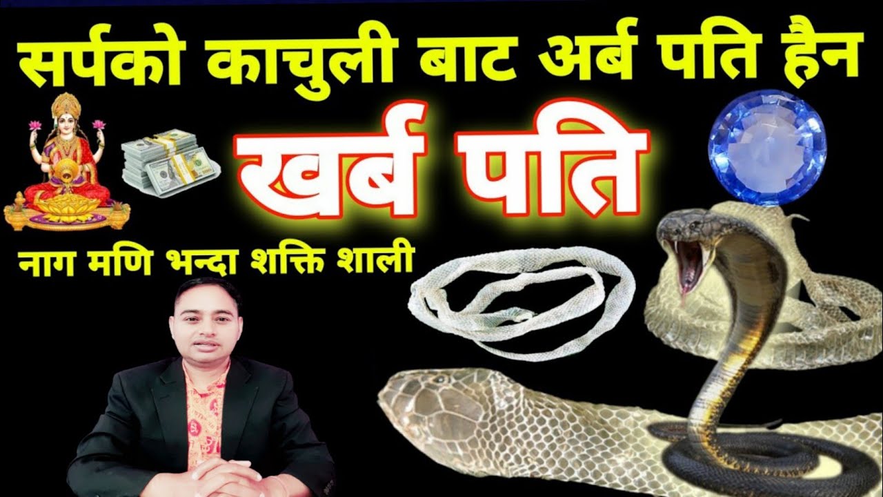 सर्पको काचुली बाट, अब करोड हैं खर्ब पति सम्म, कसरी प्रयोग गर्ने कुन दिन, Earn Money, Saving Money