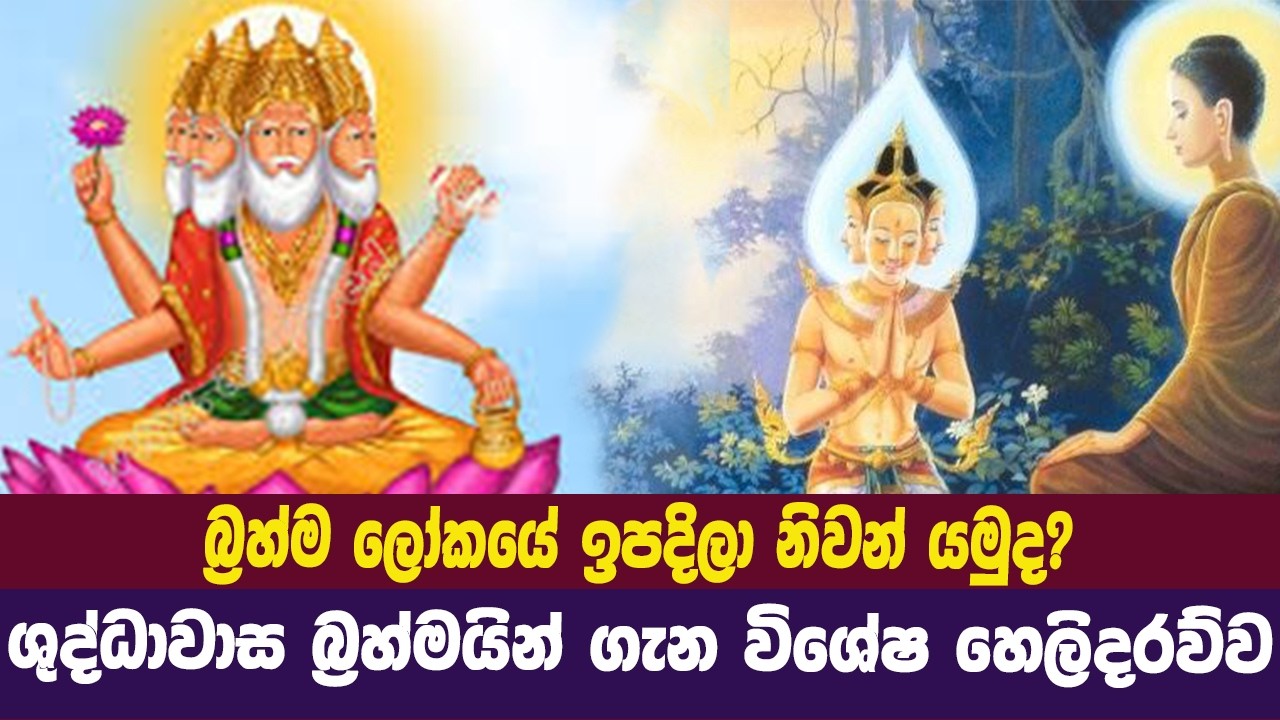 අනාගාමී බ්‍රහ්මයින් ගැන විශේෂ හෙලිදරව්ව  | ශුද්ධාවාස බ්‍රහ්මයින් | Dhaham Katha