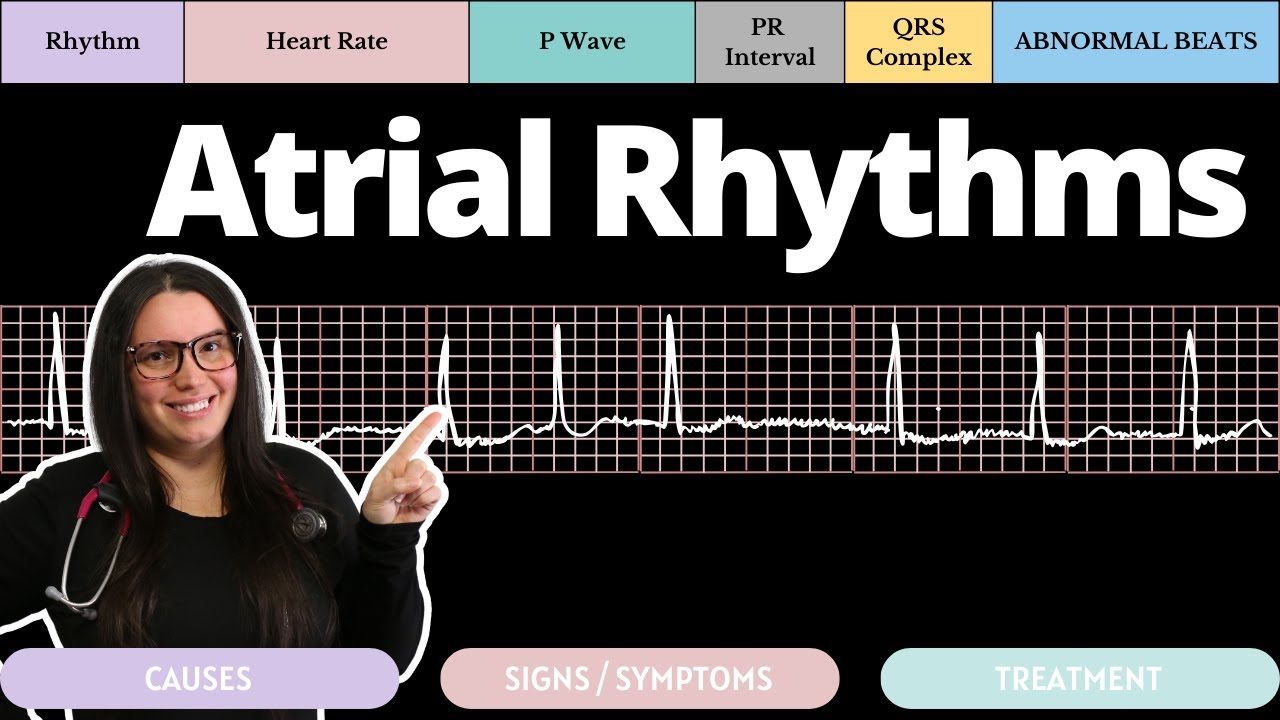 Atrial Rhythms on an EKG with Practice Qs | Circulatory System and Disease | NCLEX-RN | Nurse Cheung