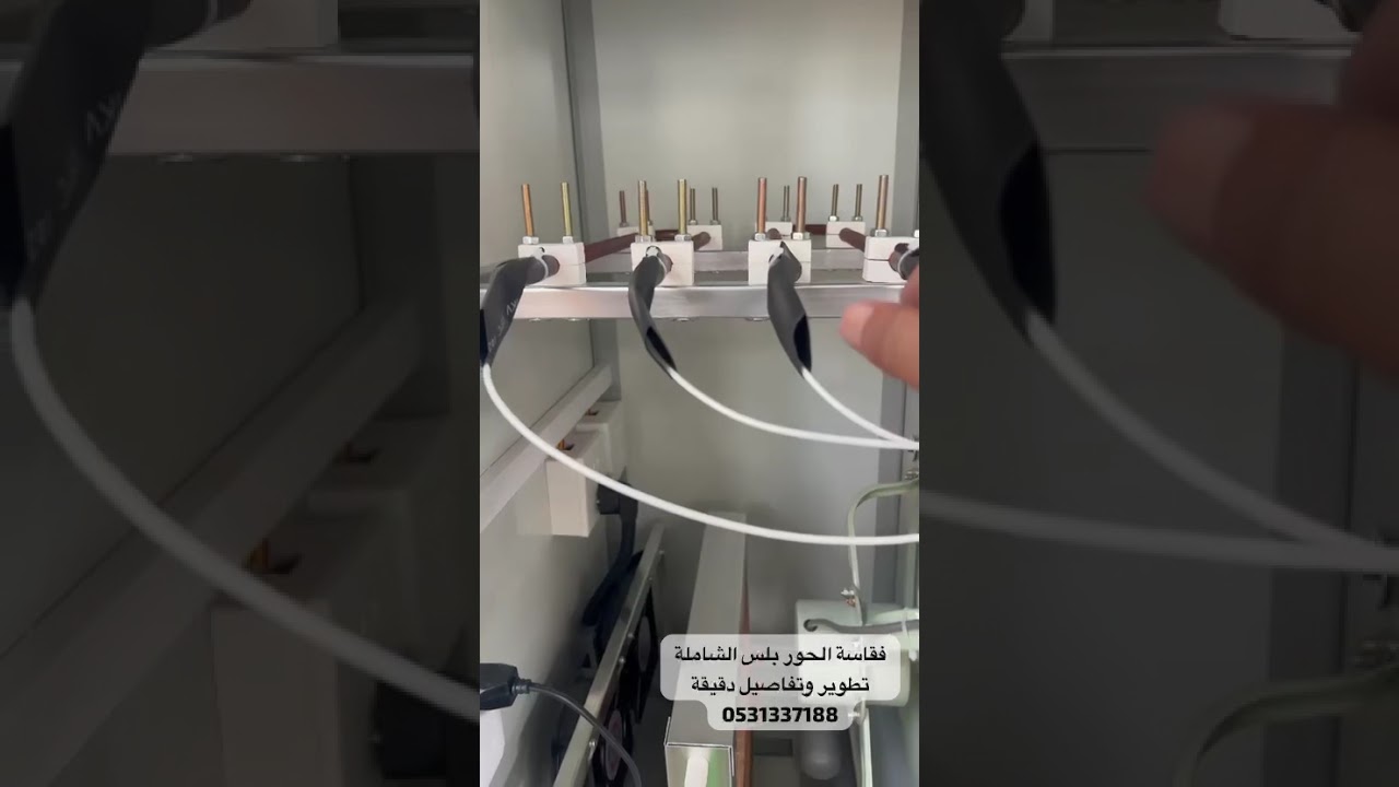 فقاسات الحور الشامله بلص 0556403916