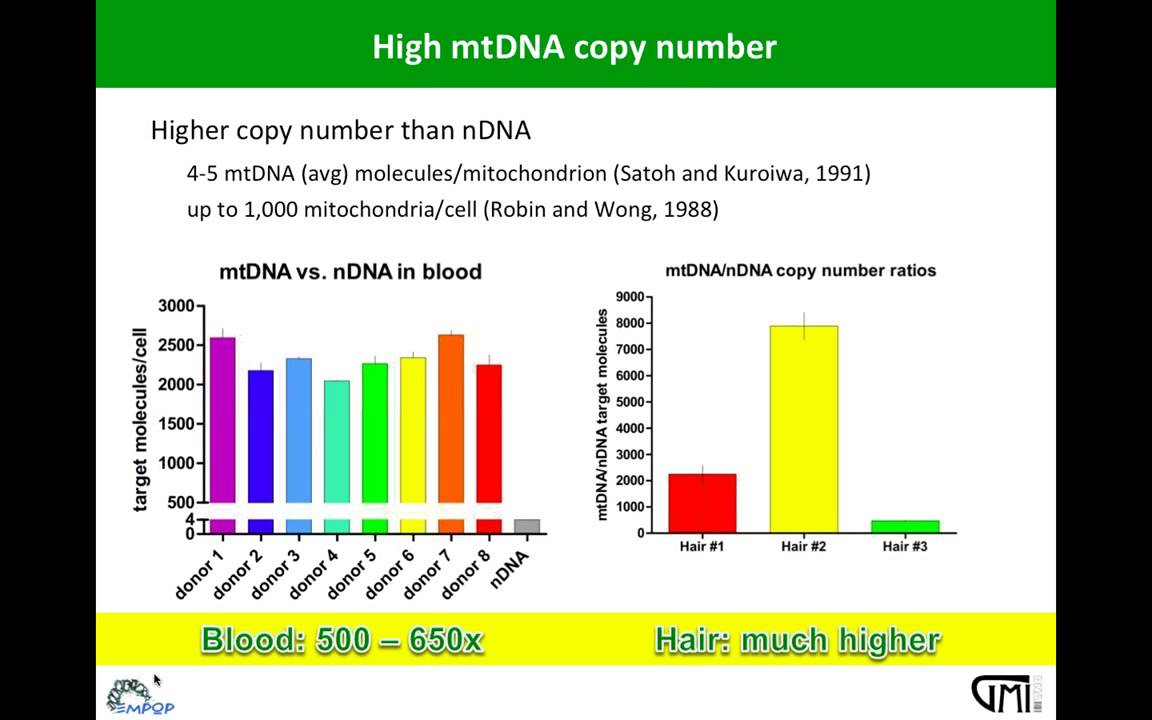Ion Torrent&trade; Semiconductor Sequencing for Forensic Applications