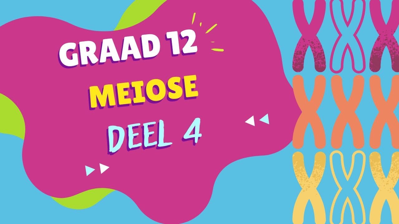 Meiose DEEL 4