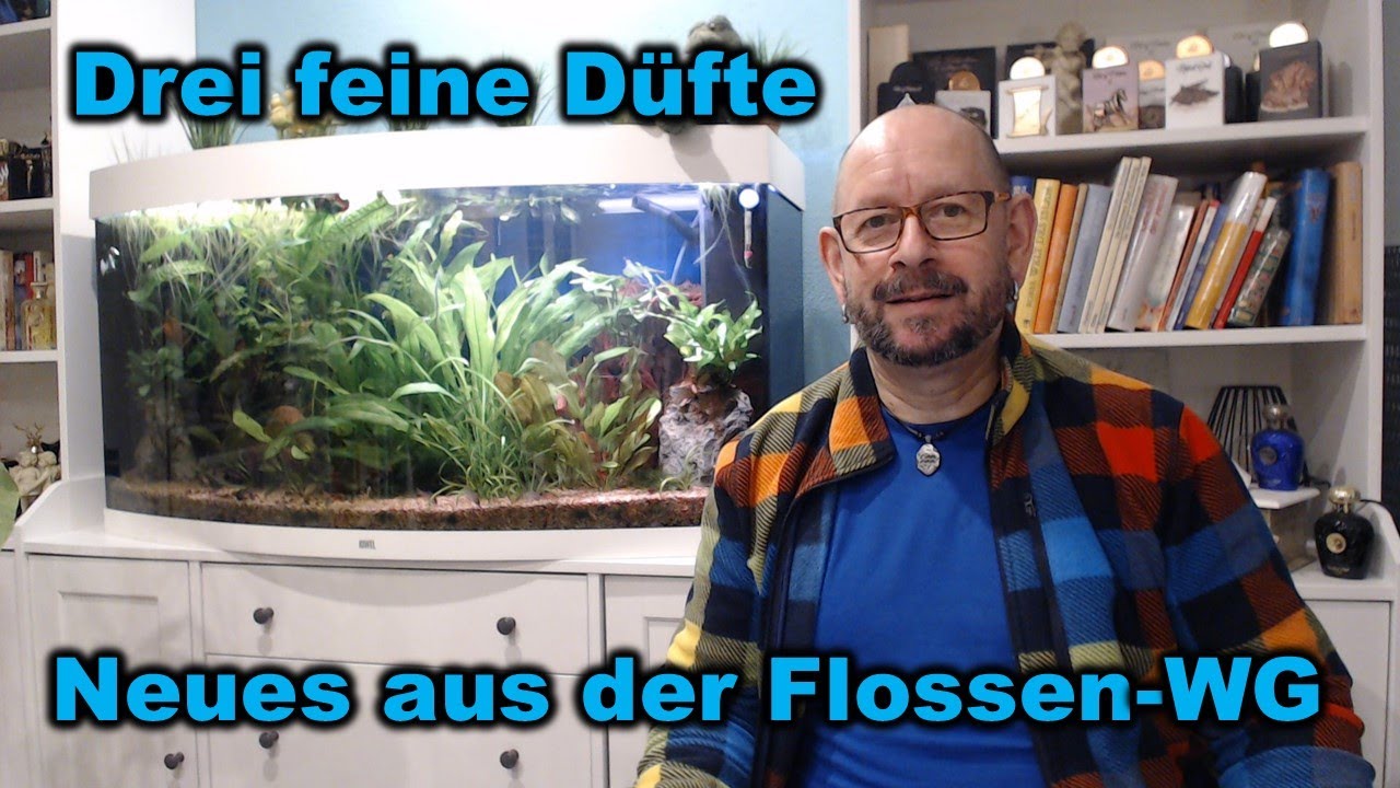 Neues aus der Flossen WG