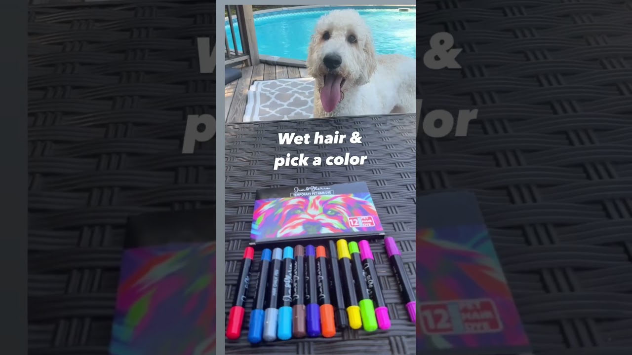 Jim&Gloria Washable Pet Fur Paint Dye is a great way to help your pup look fantastic! 😍