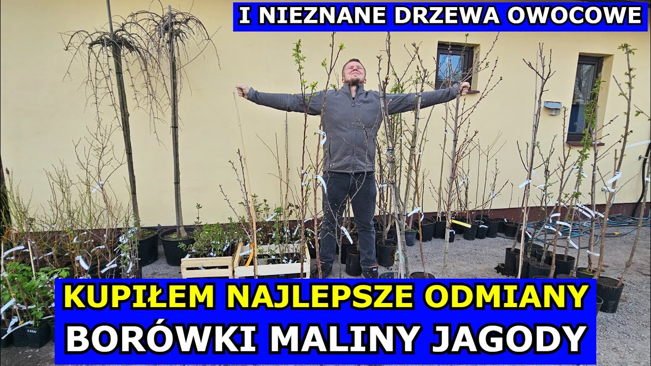Kupiłem Najlepsze Odmiany Borówki, Maliny, Jagody kamczackiej i Drzewa owocowe NIEZNANE i Kolumnowe.
