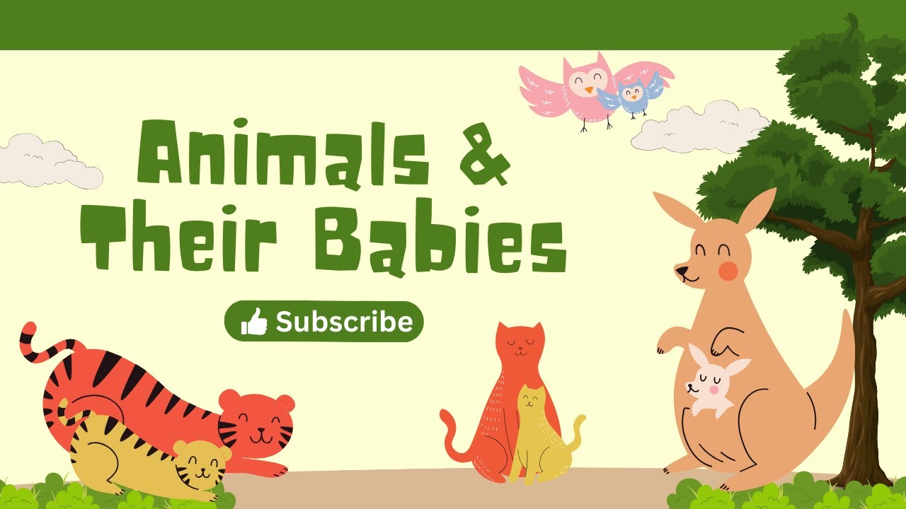 Kids learning video: Enchanting Adventures, Animals and Their Adorable Babies!