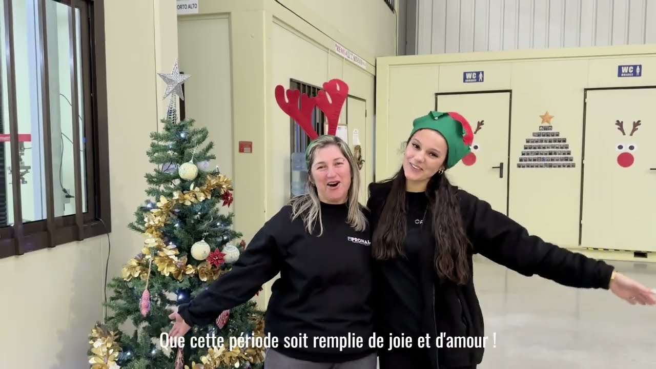 V&oelig;ux 2026 &ndash; Pronal vous souhaite une excellente ann&eacute;e