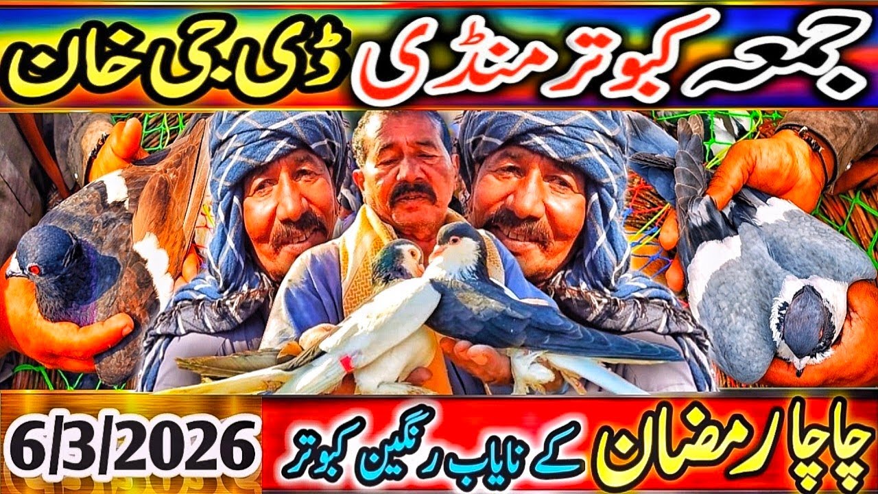 Kabootar Mandi | DGkhan Latest Update | DGKhan Kabutar Mandi | Pigeon Market Chacha Ramzan Special