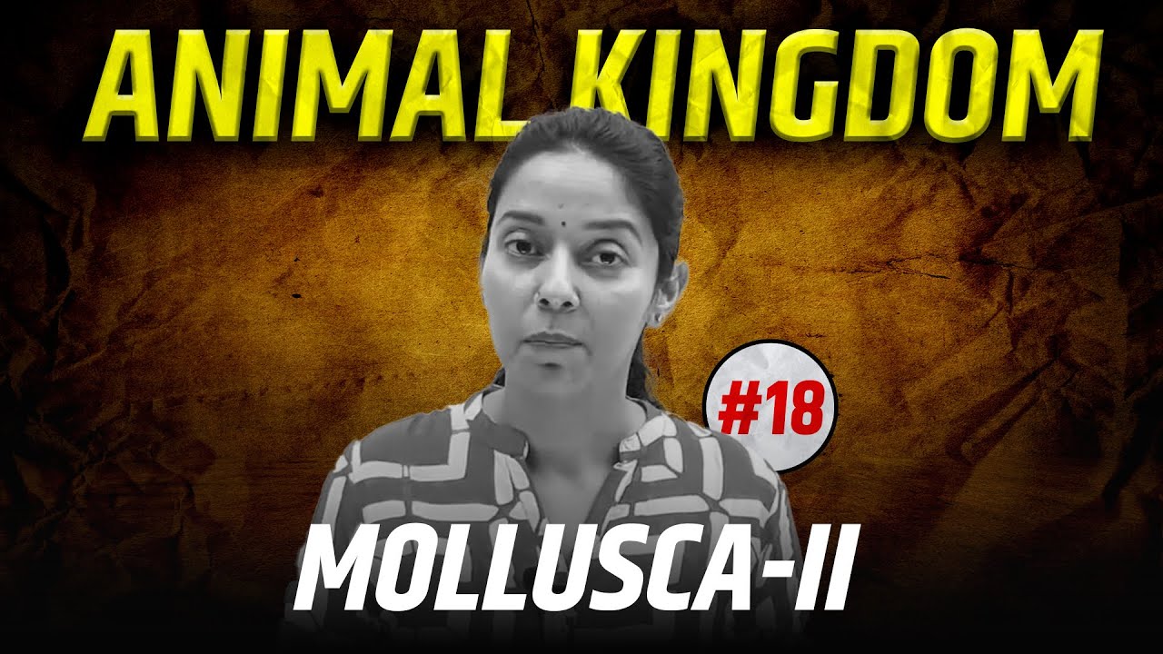 #18- Mollusca Part-2 | Non-Chordata | Animal Kingdom | NEET | Class 11
