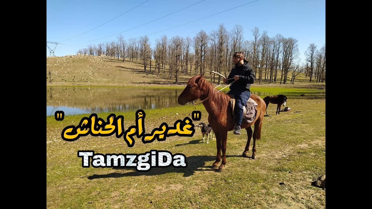 جربت التخييم🏕️ لأول مرة في بحيرة او (غدير ام لحناش) بأعالي جبال تامزقيدة❄️  بين ولاية جيجل وميلة
