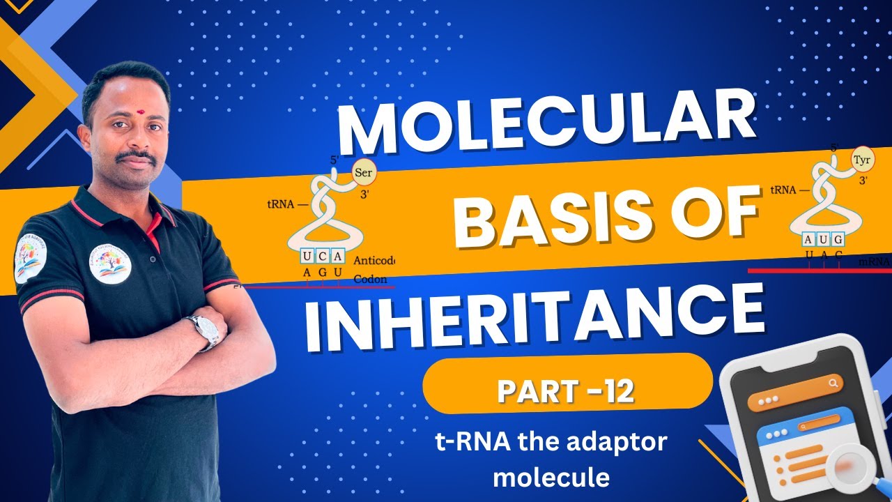 MOLECULAR BASIS OF INHERITANCE