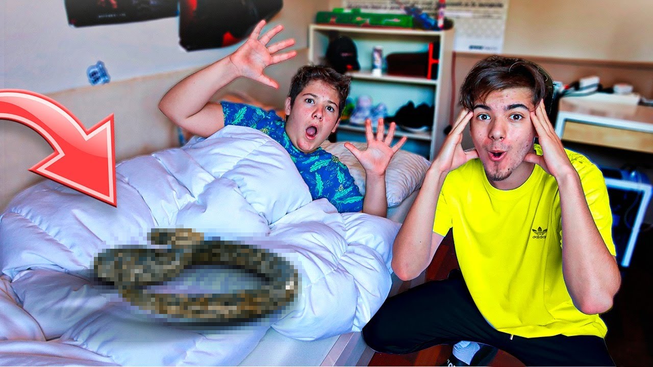 Despierto a Mi HERMANO con una SERPIENTE en su cama... *BROMA*