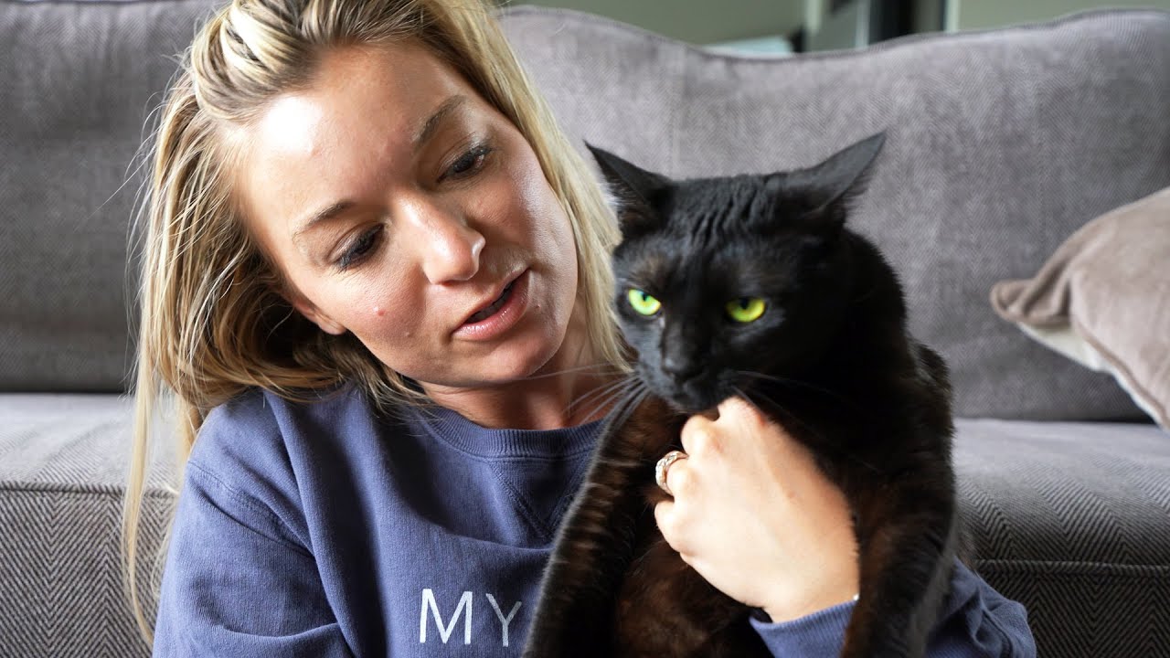 What It's Like Owning a House Panther