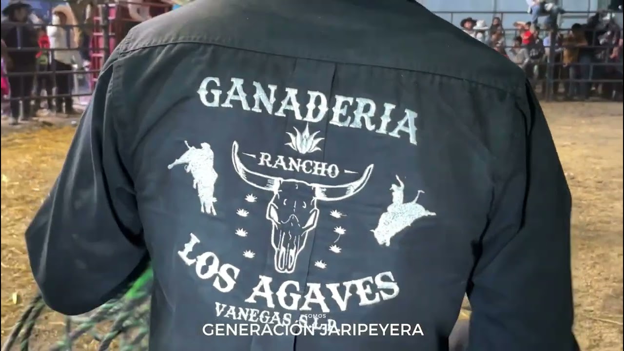 La Marcha del Taré- Banda Gran Gitana de Zirahuén, Mich.