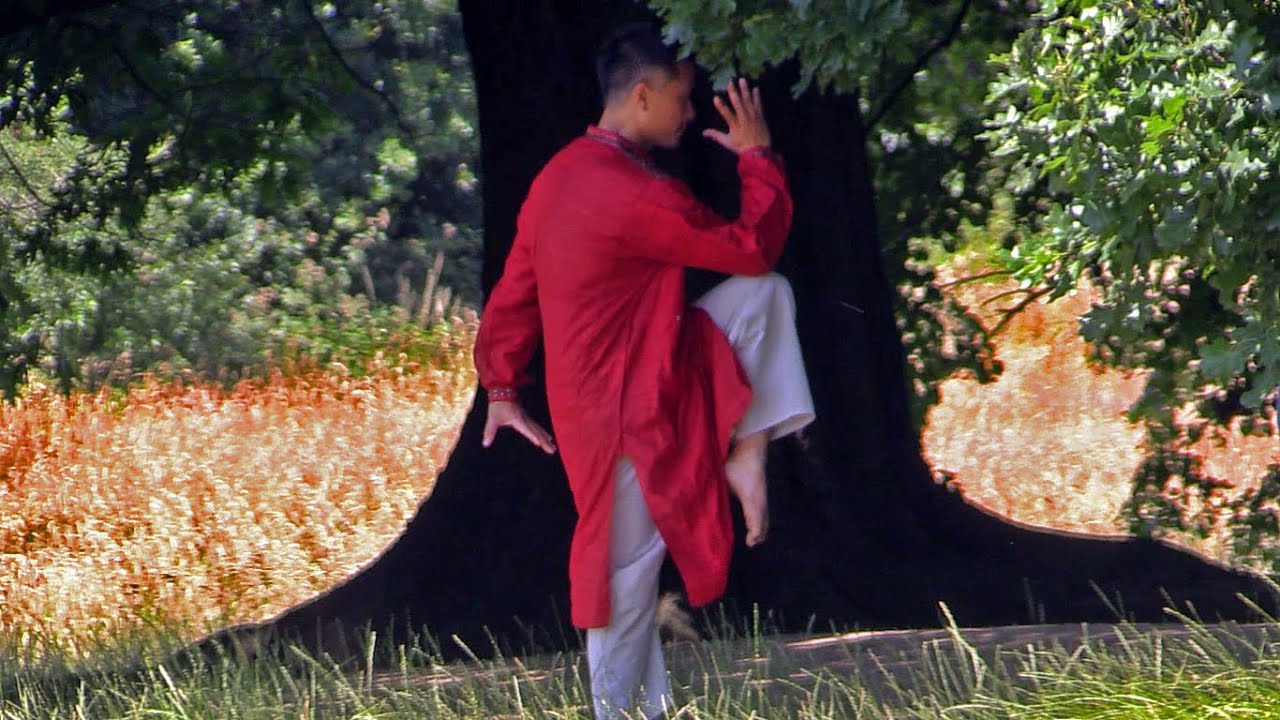 Ly Chi Gung Chuyen - Tao Chi Kai - ridingthewaveoflove