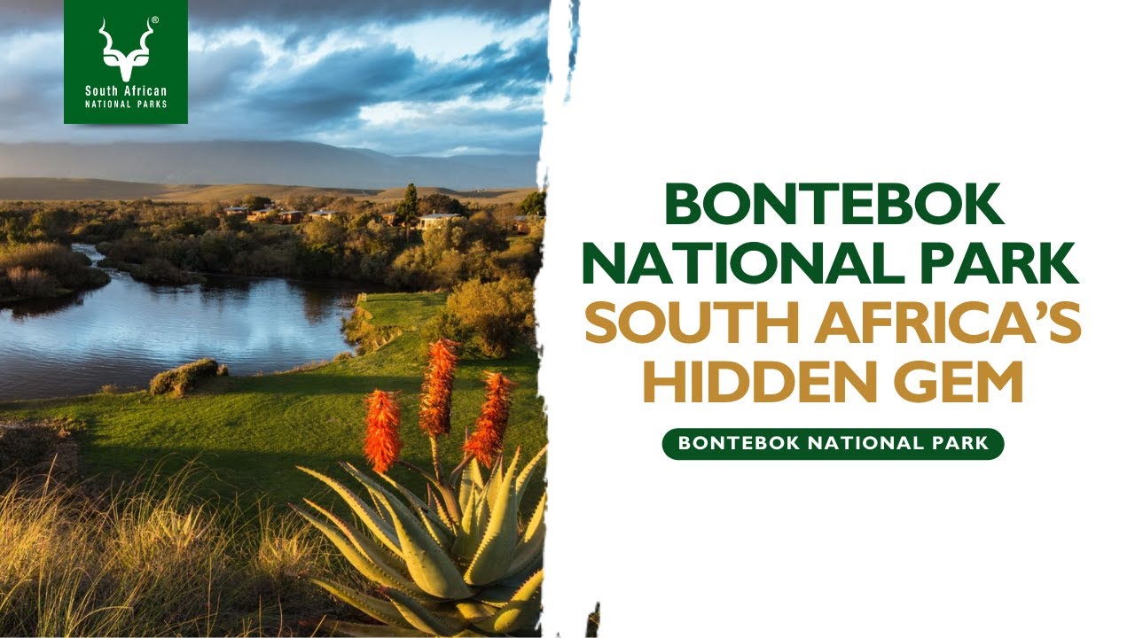 Bontebok National Park: South Africa’s Hidden Gem | 