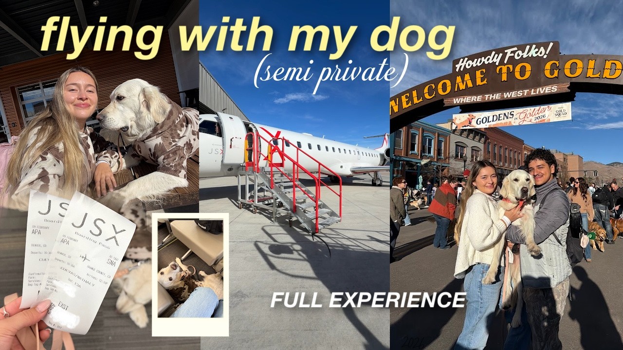 Flying to the most famous golden retriever event in the world *WITH OUR DOG