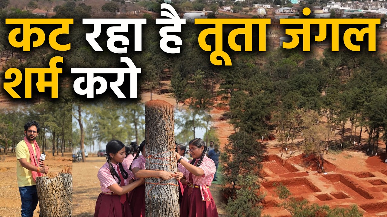 Chhattisgarh Raipur City में  Tuta Forest Jungle सिर्फ Raipur Film City  के नाम पर कट रहा है