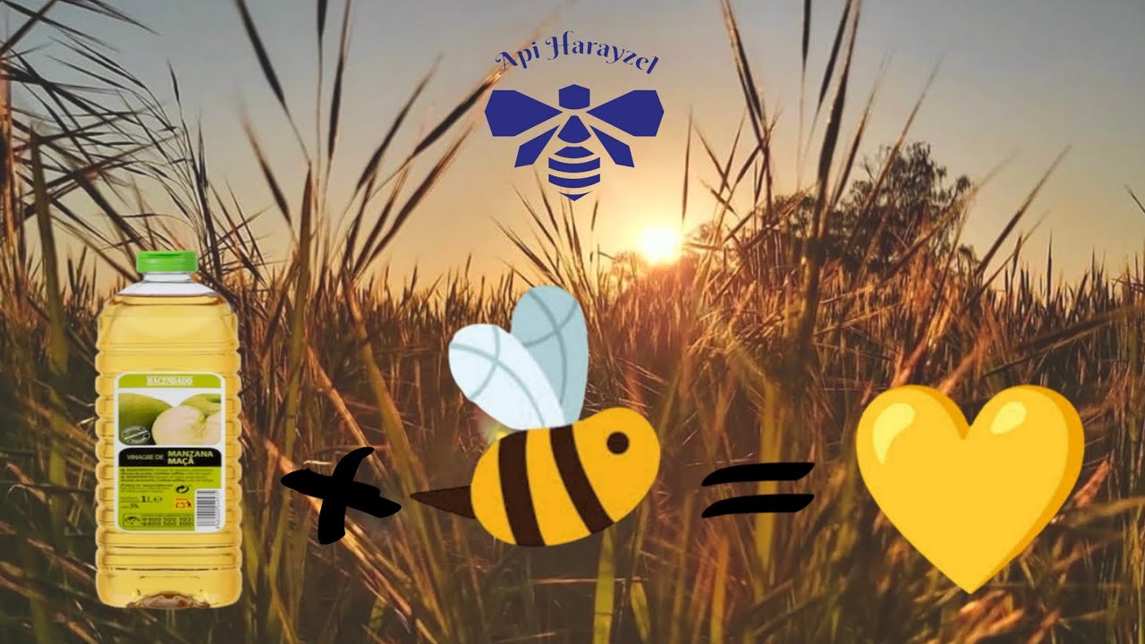 ¿¿ABEJAS Y VINAGRE?? ~ ¿Para que pensáis que lo usamos? 🐝🦴🦾🦠