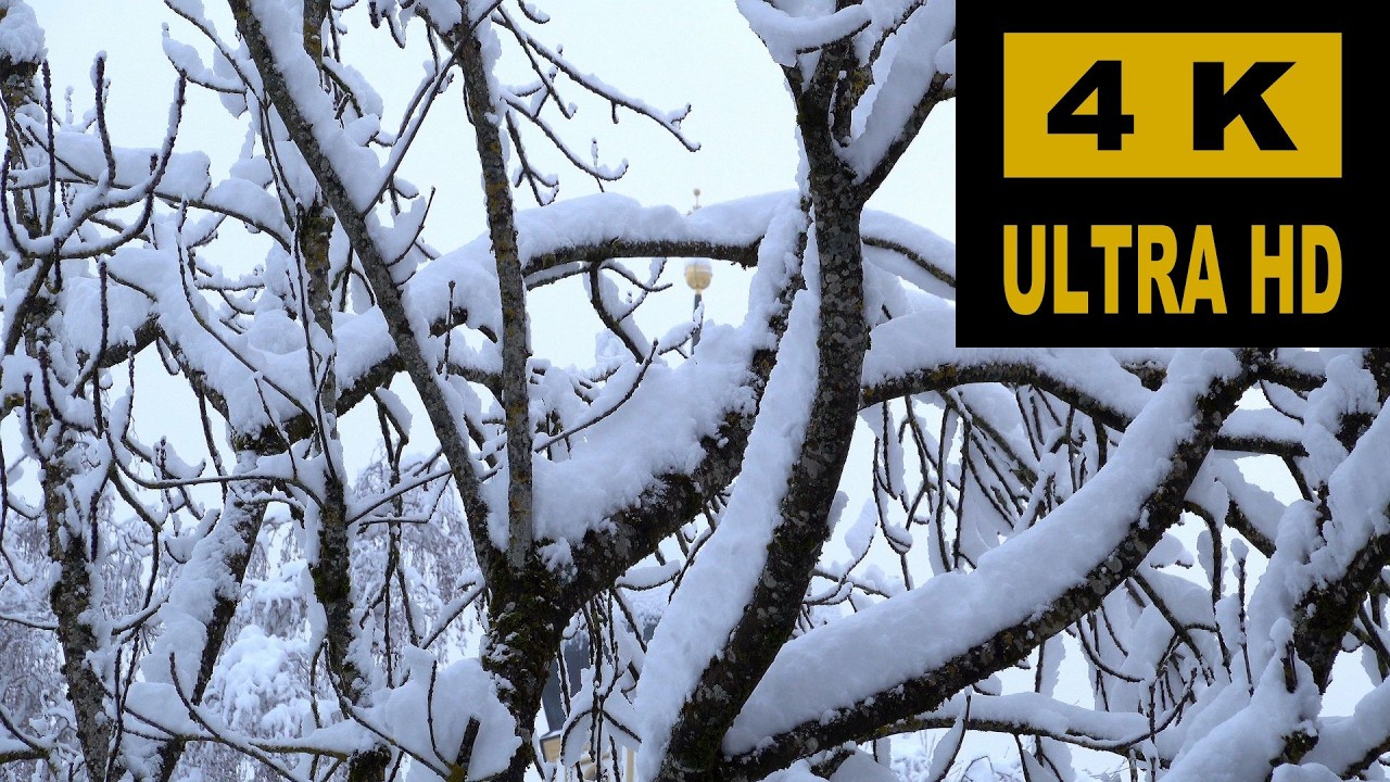 Kirchturm versteckt im Schnee