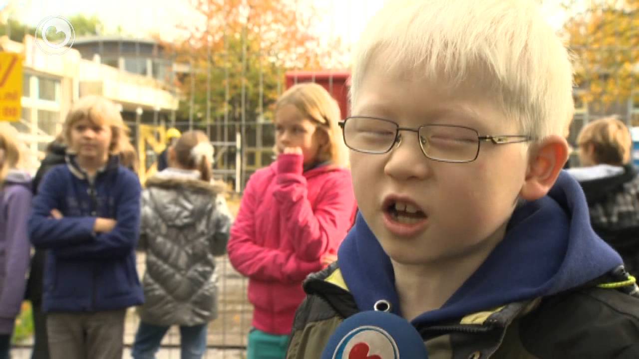 Skearnegoutum sloopt skoalle