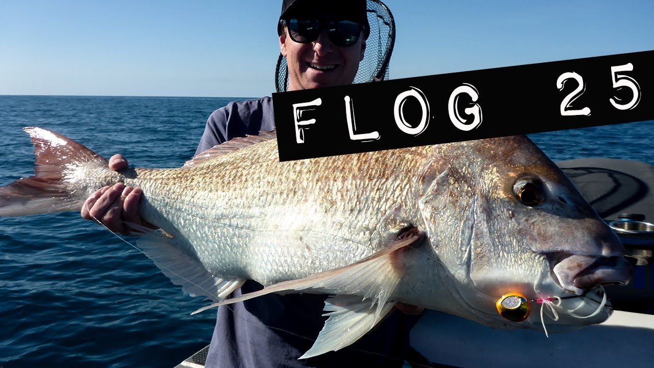 Flog 25 // Absolute KAOS with monster Docan snapper