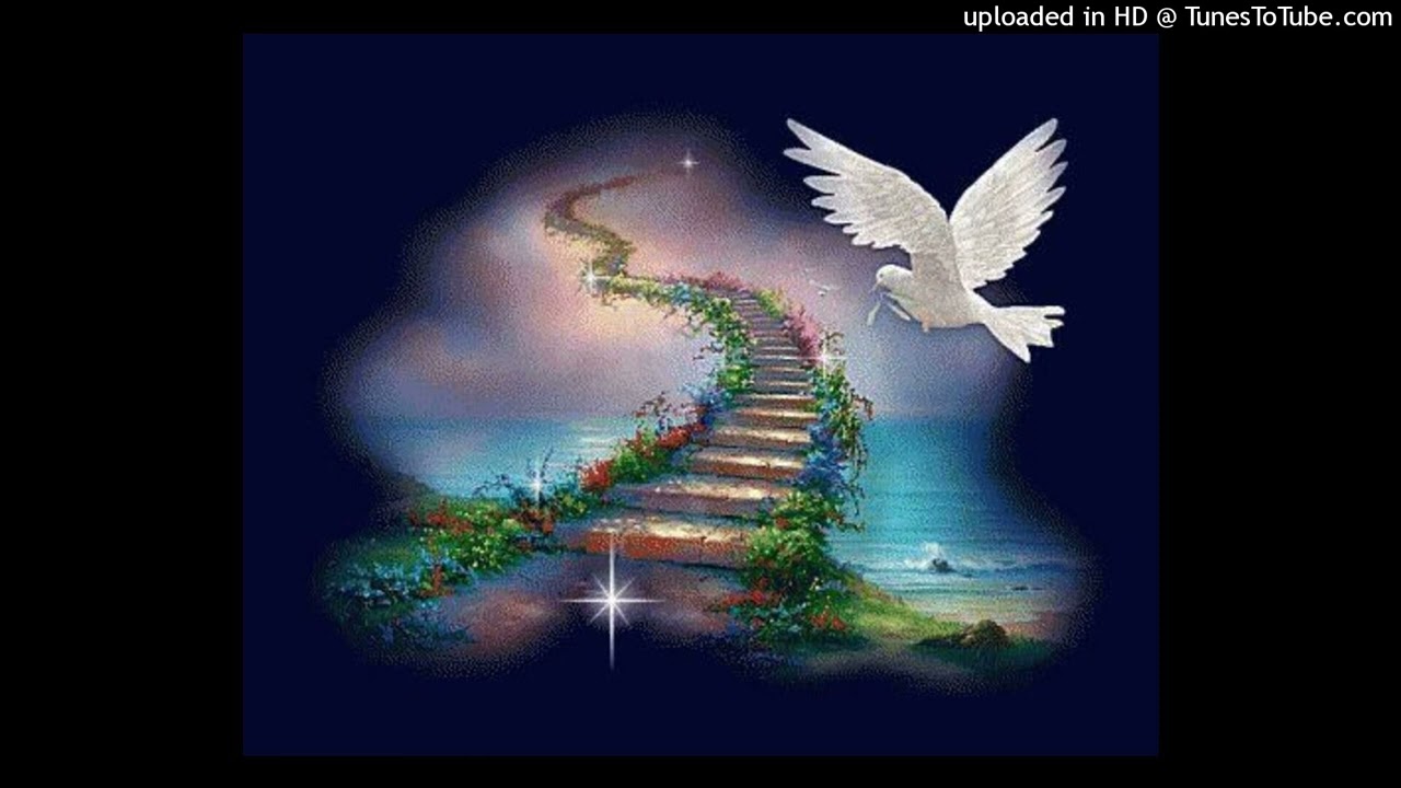 swampkill + frossy + icytwat + ethereal + smokkestaxkk type beat