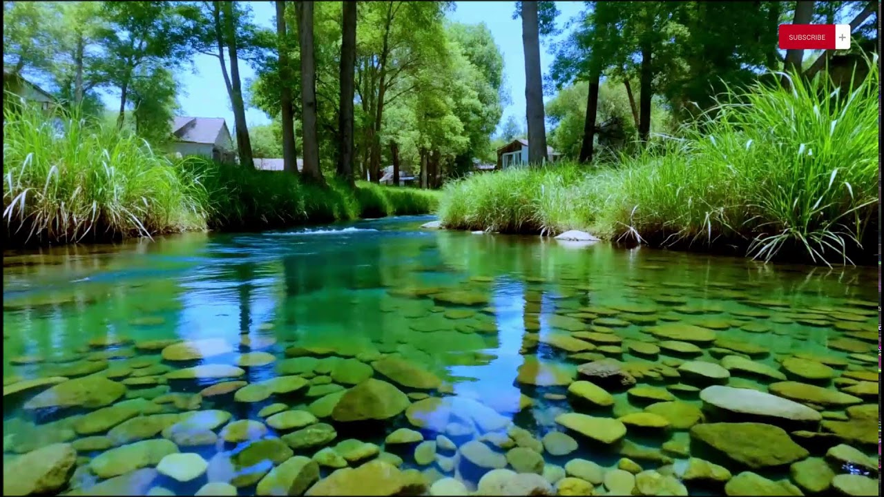 Let Stress Melt Away — Gentle Piano & River Sounds Spa Music | 10 Hours