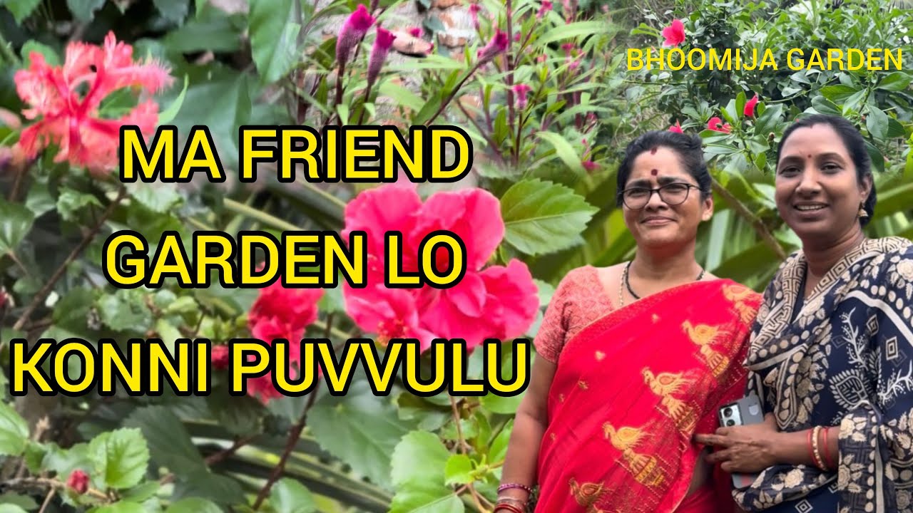 Ma friend garden lo konni rakala puvvulu mokkalu 