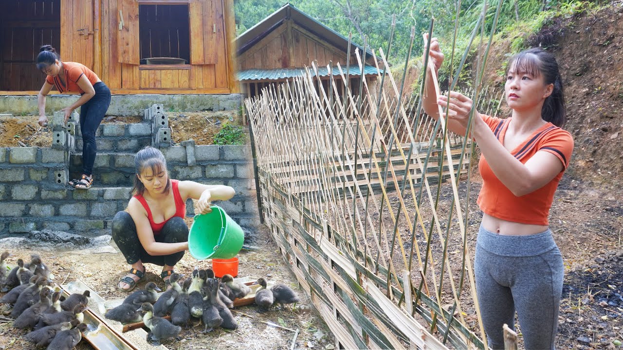 Full Video _188 Days CEO Girl Left the City for the Forest Restore 30 Year Old House, Grow Vegetable
