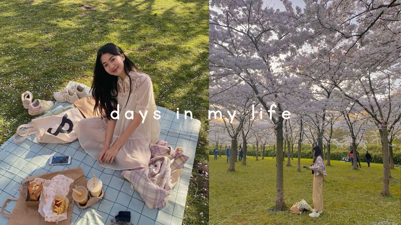 du học h&agrave; lan | cuối tuần với vườn đ&agrave;o xinh v&agrave; b&aacute;nh c&aacute; ngon (ɔ◔‿◔)ɔ&hearts;
