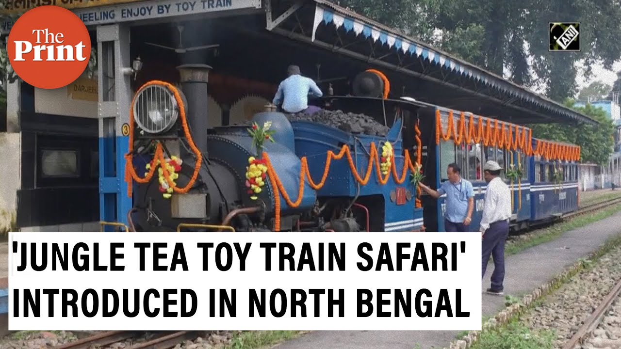 'Jungle tea toy train safari' introduced between Siliguri and Rongtong in North Bengal