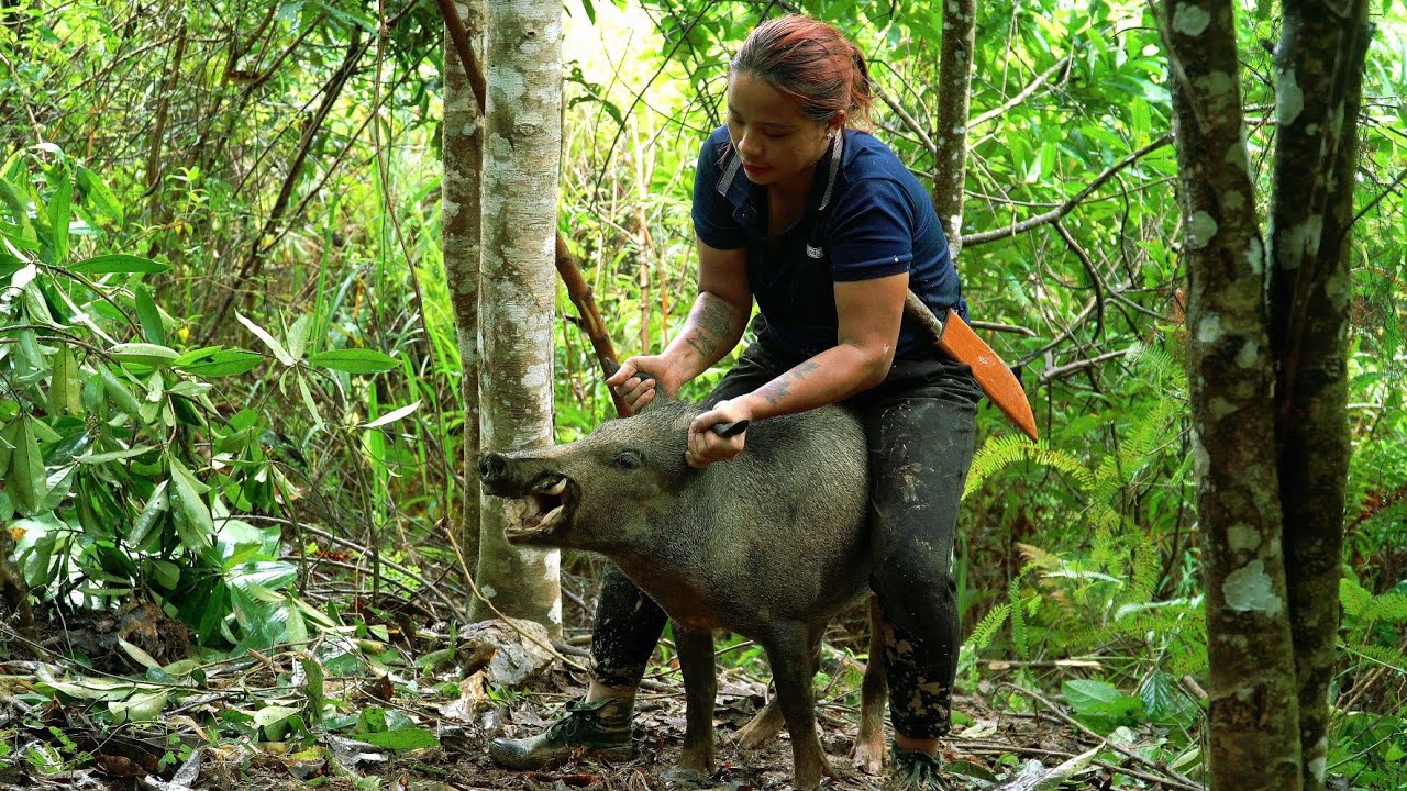 90 Days Survival In The Deep Forest – The Girl Avoids Wild Boar Attack & Hides In An Ancient Tree