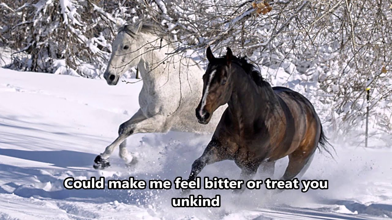Wild Horses - Susan Boyle - Lyrics - (HD scenic)